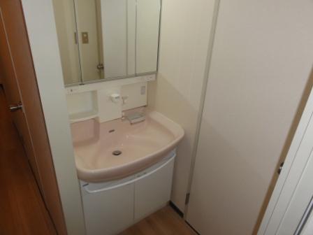 Wash basin, toilet. Indoor (March 2012) shooting