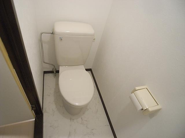 Toilet. It is a Western-style toilet that is clean