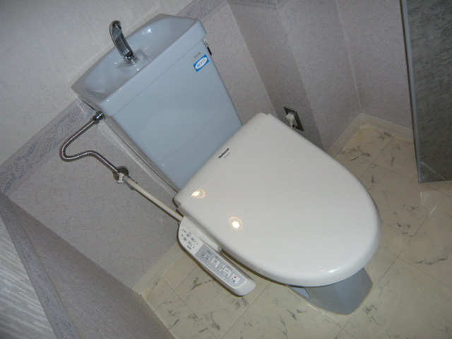 Toilet. With cleaning toilet seat