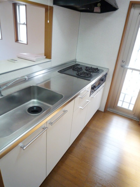 Kitchen. System kitchen (two-burner stove)