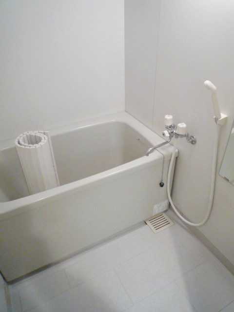 Bath. Bathroom (with add-fired function)