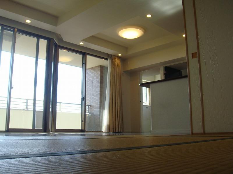 Living. Pet is possible.