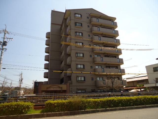 Local appearance photo. Local (July 2013) Shooting