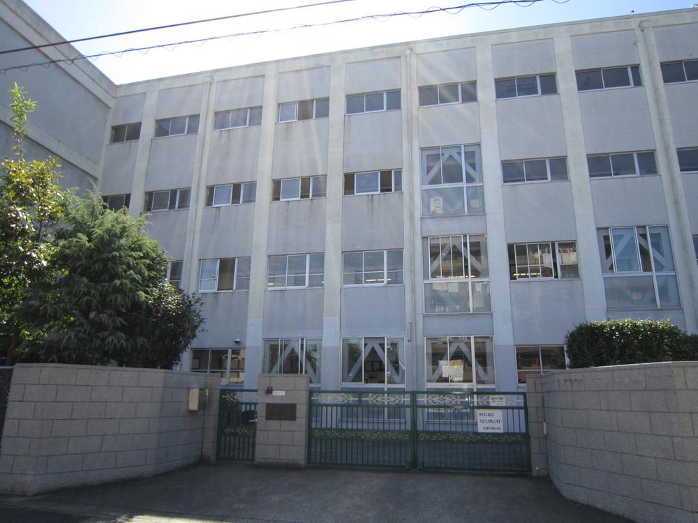 Other. Nonami elementary school (about 230m)