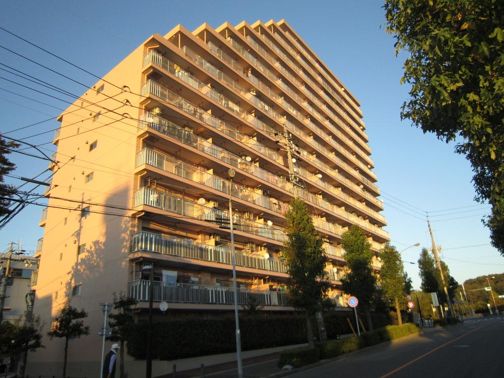 Local appearance photo. Local (10 May 2013) Shooting