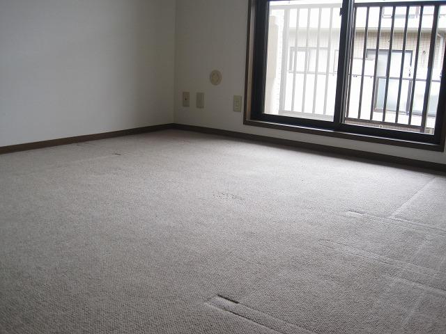 Non-living room. Indoor (September 2013) Shooting