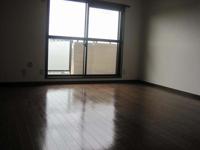 Living. Indoor (September 2013) Shooting About 16 quires of LDK