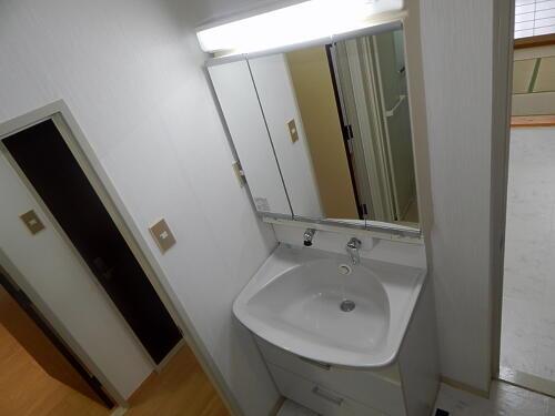 Wash basin, toilet. Bathroom vanity