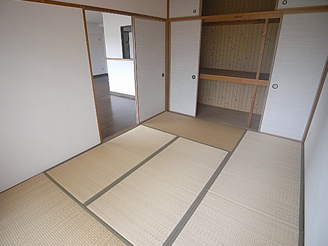 Other room space. It can be used as a guest room Large closet with