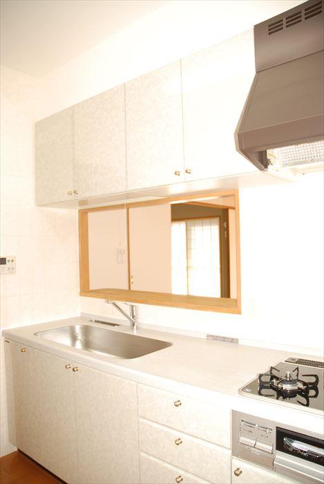 Kitchen. Popular counter kitchen