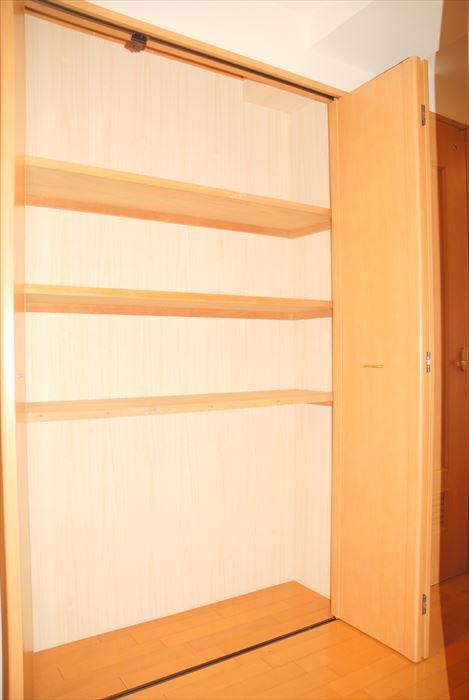 Receipt. Storage space with the corridor