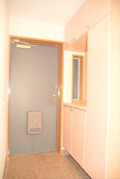 Entrance. Shoe box with a storage capacity