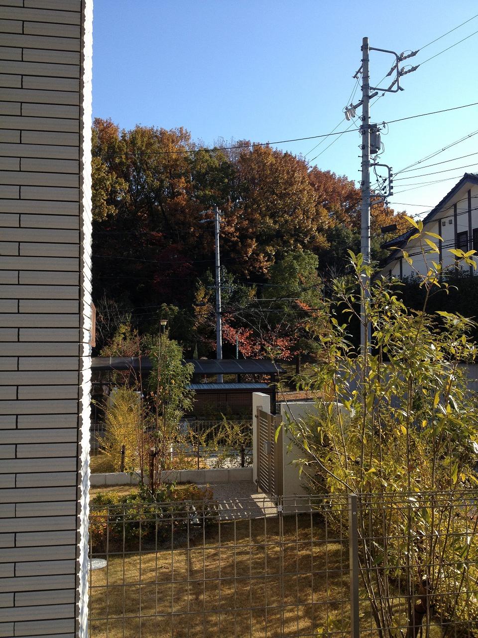 Other local. Completely To Tempaku park became winter attire. I feel the season from home everyday.