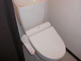 Toilet. Toilet hot water cleaning function, With storage shelves. 