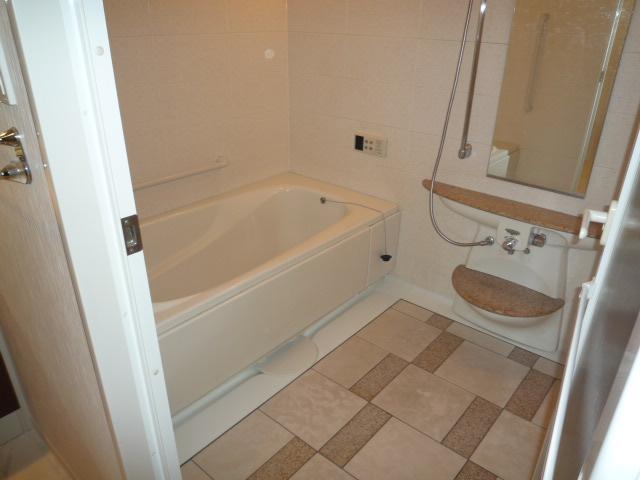 Bathroom. Indoor (11 May 2013) Shooting