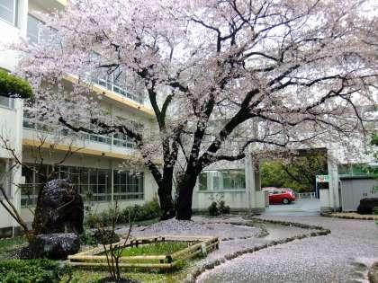 Primary school. 805m until Nishio Municipal Nishio Elementary School