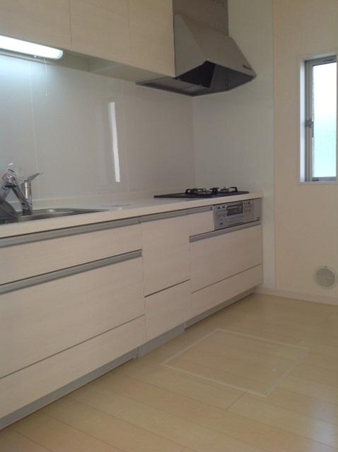 Kitchen. Indoor (11 May 2013) Shooting