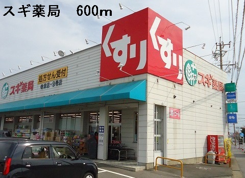 Dorakkusutoa. 600m until cedar pharmacy Terazu store (drugstore)