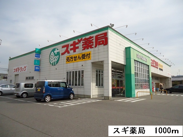 Dorakkusutoa. 1000m until cedar pharmacy Nakajima shop (drugstore)