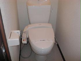 Toilet. Hot water cleaning function toilet.