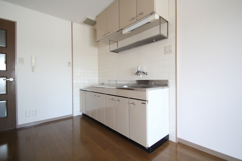 Kitchen. Beautiful polished kitchen.