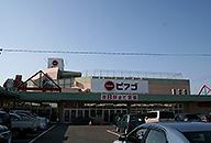 Shopping centre. Until Piago Hirabari shop 500m