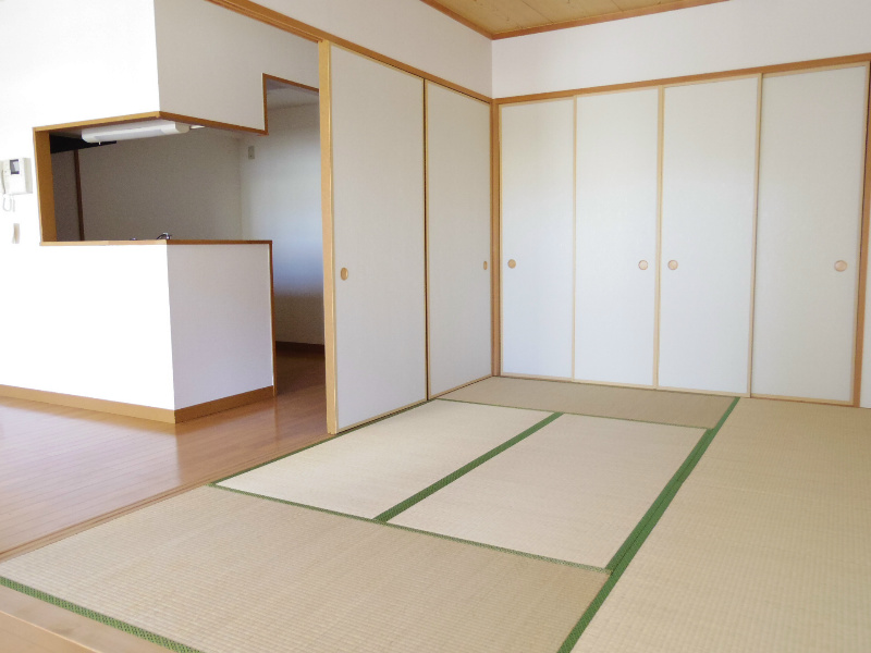 Other room space. Japanese style room