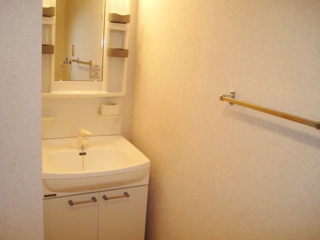 Washroom. Vanity is equipped with shampoo dresser. 