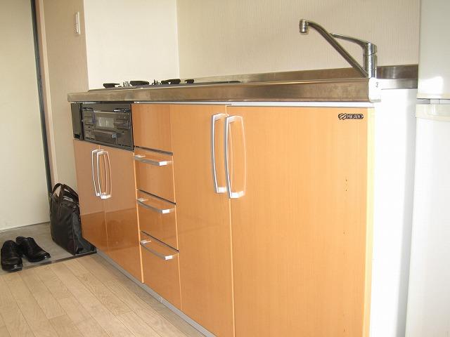 Kitchen. Kitchen of company housing (2)