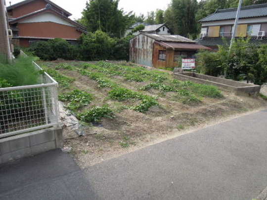 Local land photo