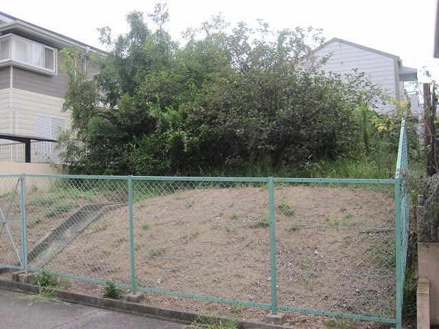 Local land photo. Local (September 2013) captured the entire surface of the road about 6m