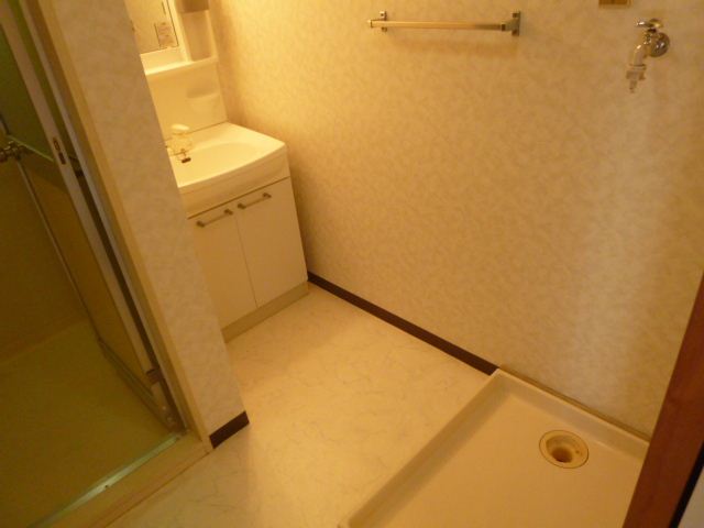 Washroom. Western-style room