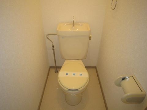 Toilet. WC