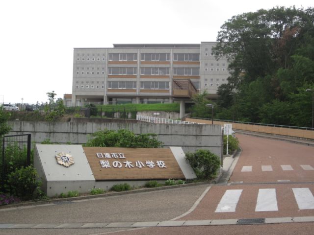 Primary school. Municipal pear until the elementary school (elementary school) 1100m