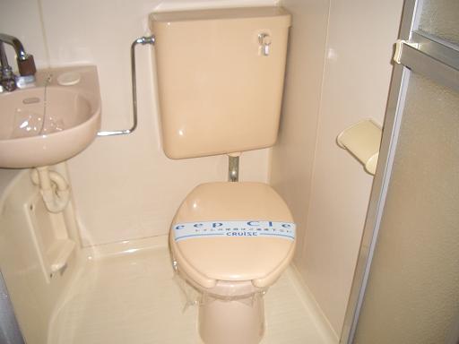 Toilet. Toilet (Kuringu settled)