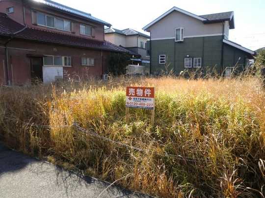 Local land photo. appearance