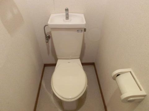 Toilet. WC