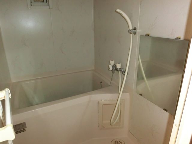 Bath. It is a bathroom with a mirror! 