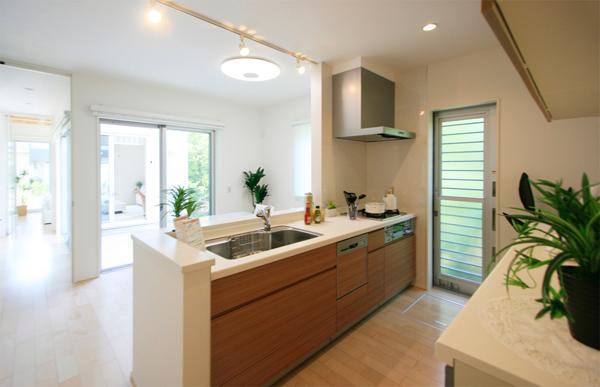 Kitchen. Local (May 2013) Shooting