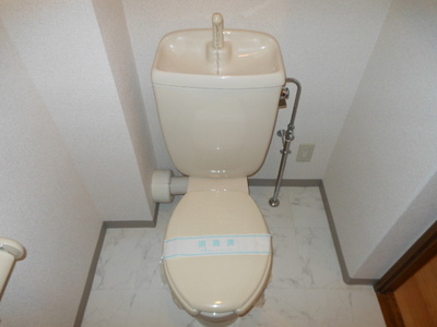 Toilet. Toilet