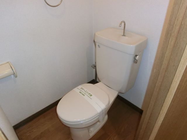 Toilet. There is a feeling of cleanliness, Power supply with a toilet