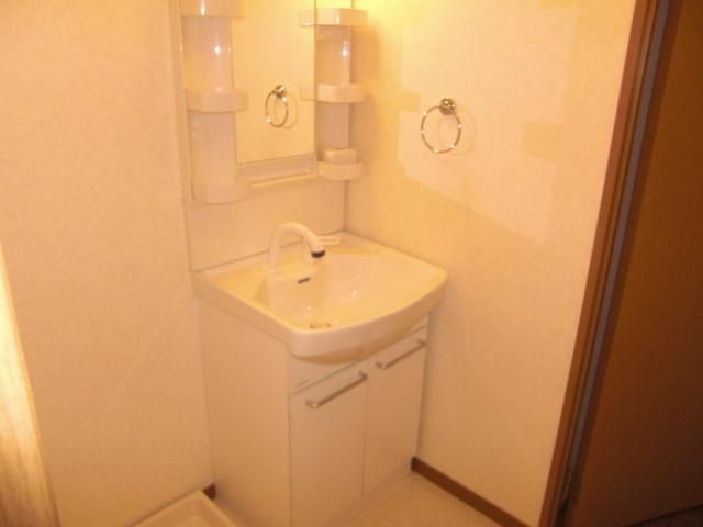 Washroom. Shampoo Dresser &-room washing machine storage