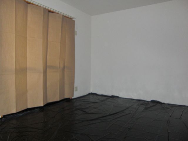 Living and room. Tatami mat has been laid