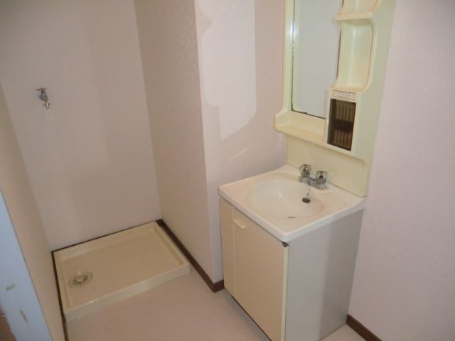 Washroom. Separate vanity and a washing machine inside the yard
