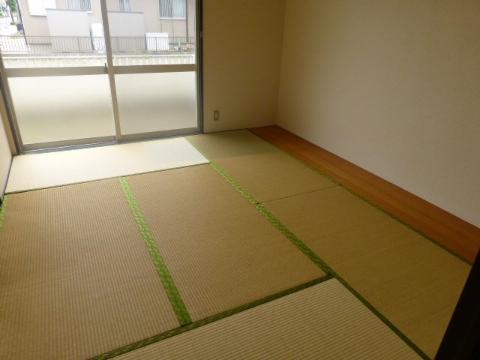 Living and room. Japanese style room