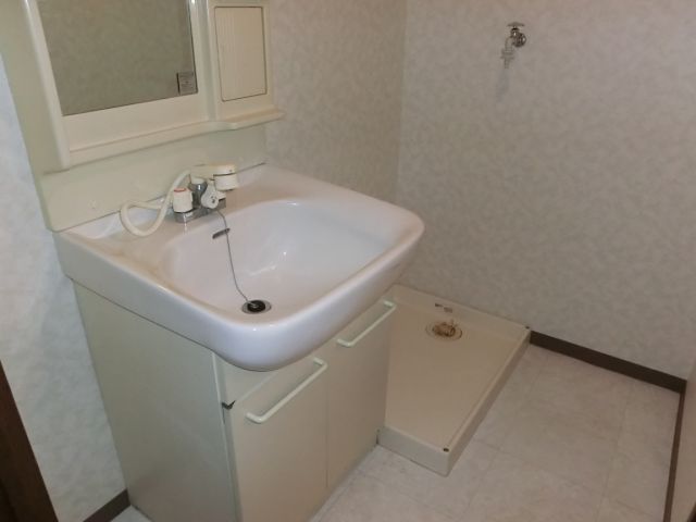 Washroom. Vanity &-room washing machine storage