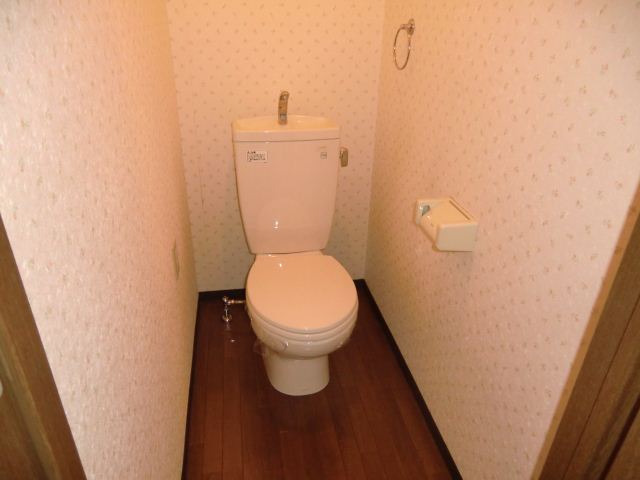 Toilet. A clean toilet space.