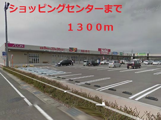 Shopping centre. 1300m until the MAX value (shopping center)