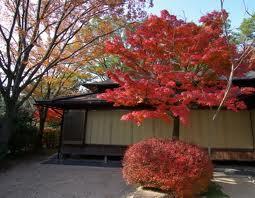 park. 353m to Okura park