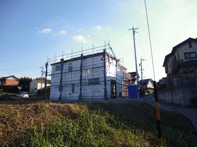 Local appearance photo. North 2013 November 21, shooting